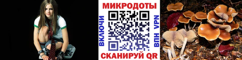 Псилоцибиновые грибы ЛСД  Купить  Юрга